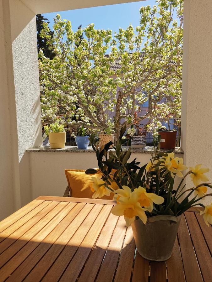Apartman Soto Pirovac Exteriér fotografie