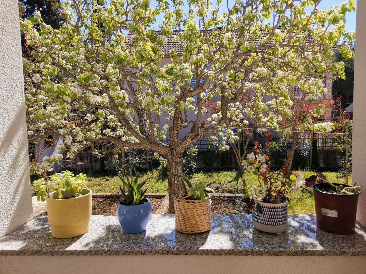 Apartman Soto Pirovac Exteriér fotografie