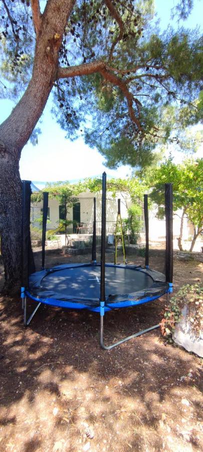 Apartman Soto Pirovac Exteriér fotografie