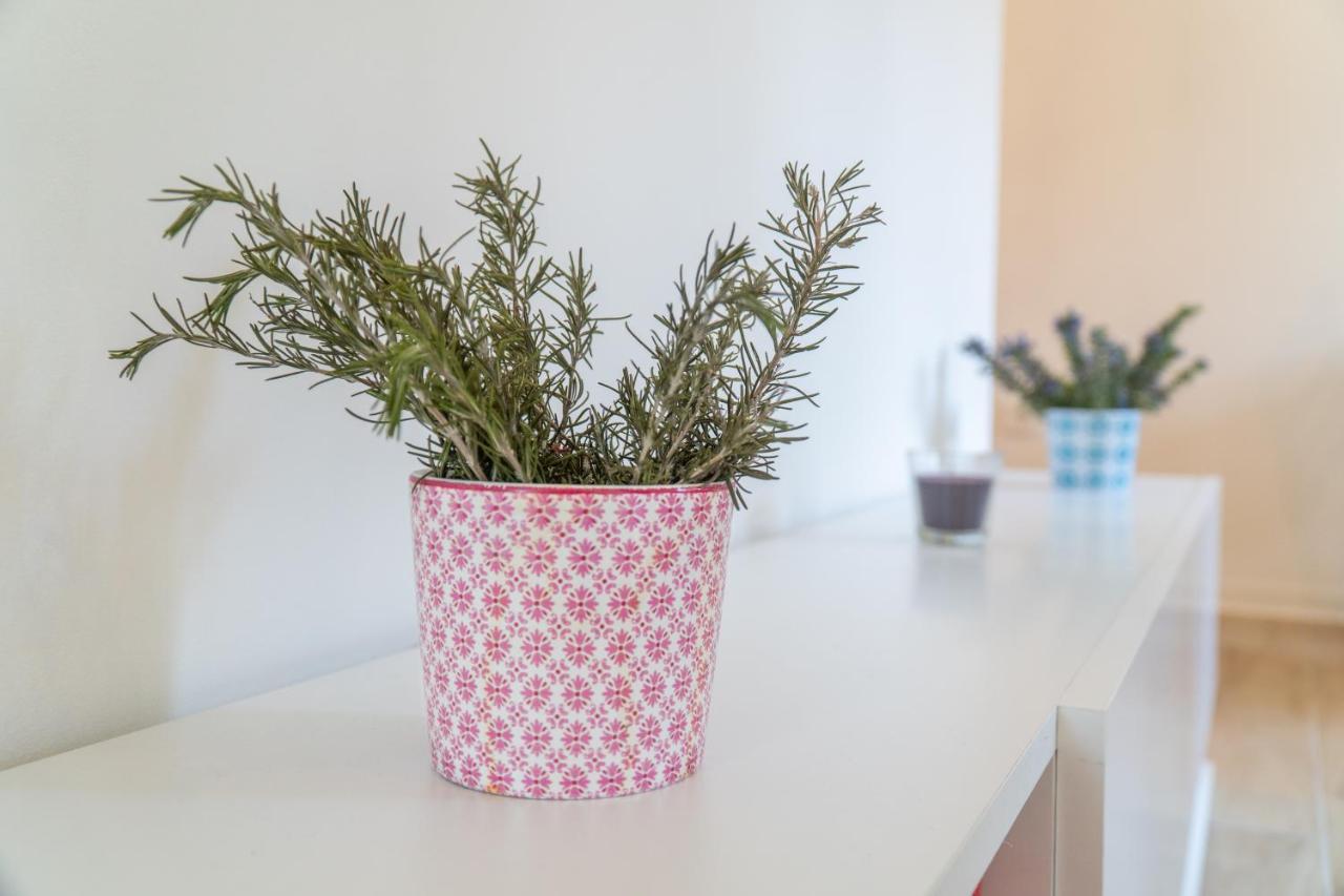 Apartman Soto Pirovac Exteriér fotografie