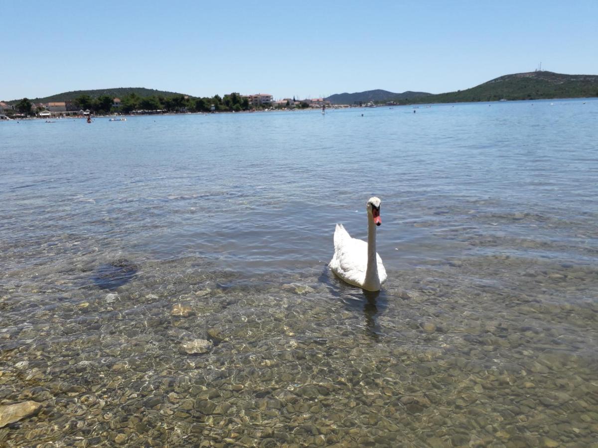 Apartman Soto Pirovac Exteriér fotografie